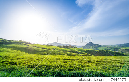 Direct sunlight at italian fields 47446675