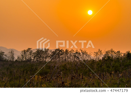 The sun is the whole life.10 The sun is the whole life.10 47447179