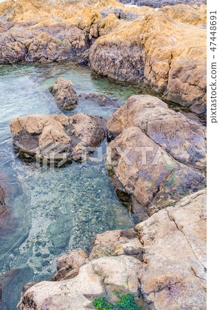 沿海風光 47448691