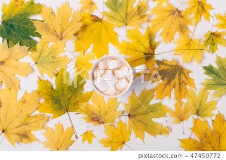 Mug of cocoa with marshmallows 47450772