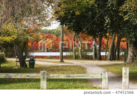 Entrance to park  autumn colored trees  47451566