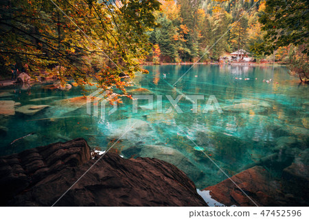 Autumn time at romantic forest lake Blausee, Switzerland. Autumn time at romantic forest lake Blausee, Switzerland. 47452596