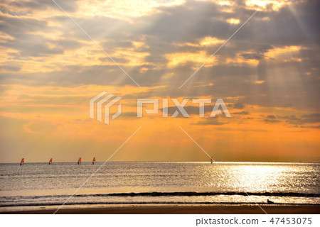 Evening scenery of a timber aisle 47453075