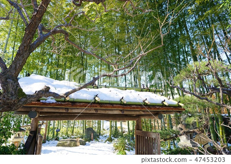 Snow garden Snow garden 47453203