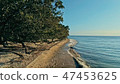 remote south pacific island with sandy beach shore 47453625