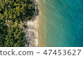 ocean shore with sandy beach and lush rainforest 47453627