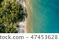ocean shore with sandy beach and lush rainforest 47453628