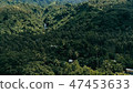 lush tropical rainforest jungle with waterfall 47453633