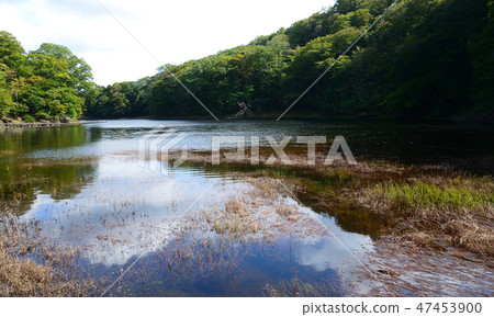 I went to Onuma Park # 32 I went to Onuma Park # 32 47453900