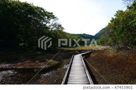 I went to Onuma Park # 31 I went to Onuma Park # 31 47453901
