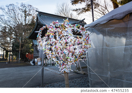 新的宮城三沼的對馬神社大廳和在心臟看見的縫合的蘇格蘭威士忌 47455235