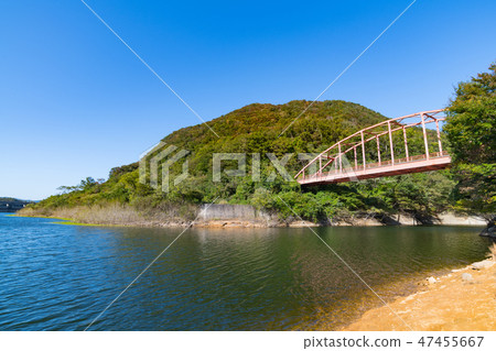 The autumnal leaves of Minamikawa Dam in Miyagi Yamato-cho, Kamakura Mountain and Red Kamakura Bridge 47455667