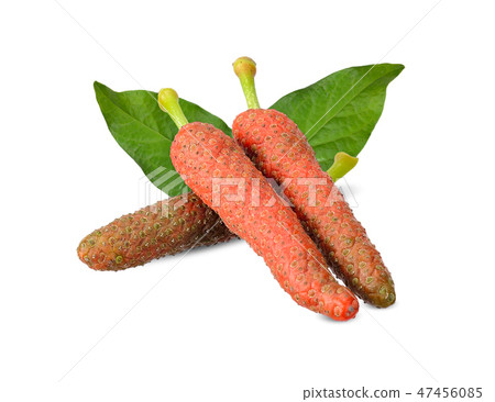 Piper longum isolated on white clipping path Piper longum isolated on white clipping path 47456085