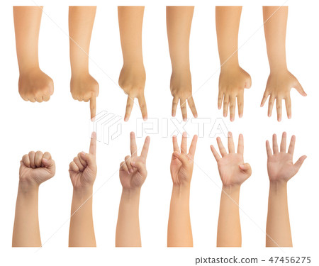 Human hand isolate on white background Human hand isolate on white background 47456275