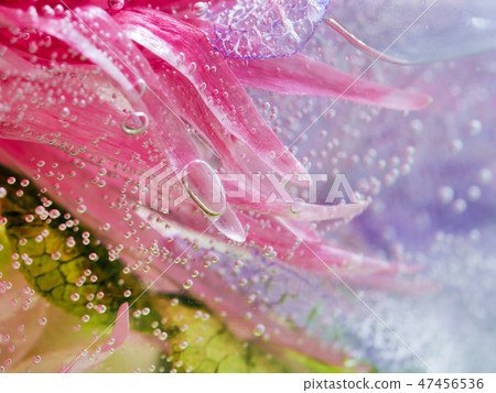 Flowers and bubbles Close up 47456536