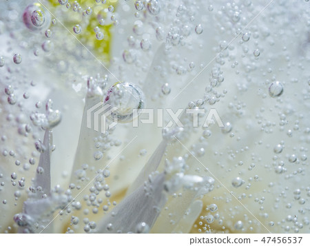 White flowers and bubbles Close up 47456537