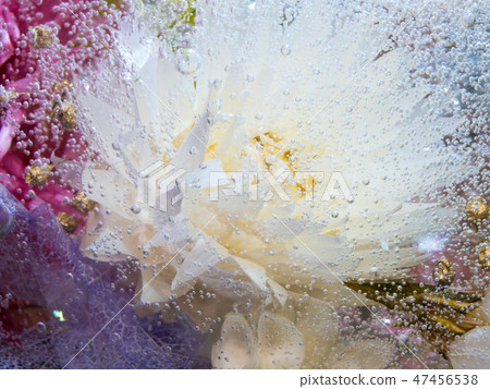 Flower bubbles in water Flower bubbles in water 47456538