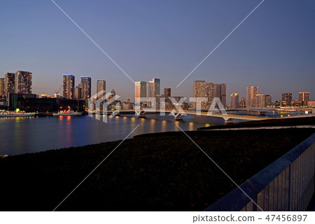 從豐洲市場屋頂的夜景 47456897