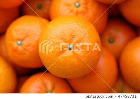 Fresh oranges Fresh oranges 47458731