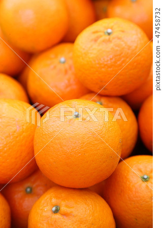 Fresh oranges Fresh oranges 47458732
