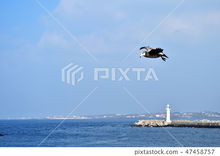 風景 風景 47458757