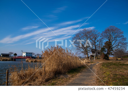Toba Swamp Kuzoku Daikai Daigaku Kawashima cho 47459234