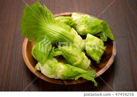 高奈帶著孩子 高奈帶著孩子 47459258