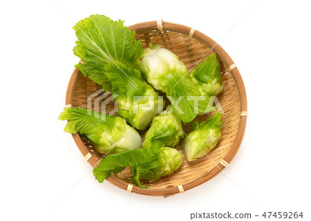 高奈帶著孩子 高奈帶著孩子 47459264