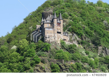 Cruise on the Rhine cruising around the old castle Neocostal Cruise on the Rhine cruising around the old castle Neocostal 47460609