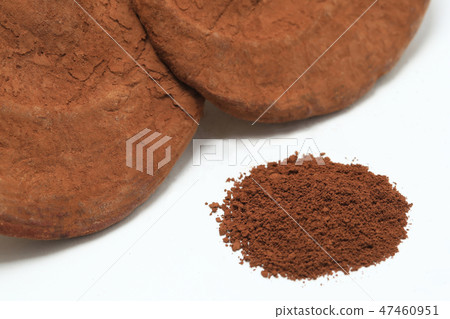 Reishi mushroom and spore image Reishi mushroom and spore image 47460951