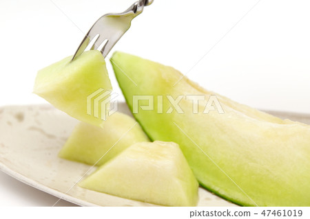 melon 47461019