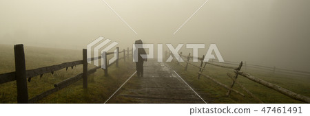 road in the fog over which the traveler 47461491
