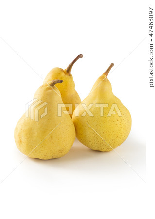 西方梨lurelectye 西方梨lurelectye 47463097