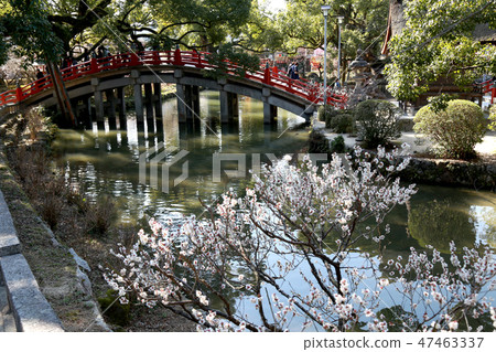 在池塘的一塊石頭 在池塘的一塊石頭 47463337