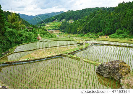 Yotsuya愛知縣新城市的數千個田地 Yotsuya愛知縣新城市的數千個田地 47463554