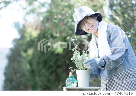 Senior woman enjoying gardening Senior woman enjoying gardening 47464119