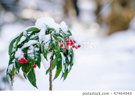 Hard winter 47464948