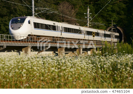 Buckwheat noodles field and 681 series · Limited express hakata 47465104