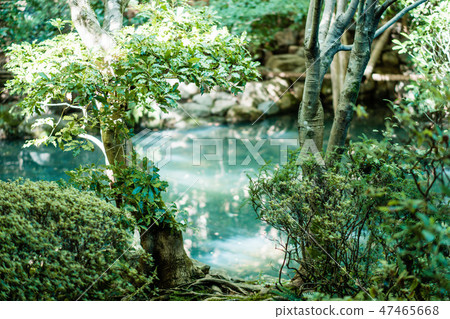 Holy fountain Holy fountain 47465668