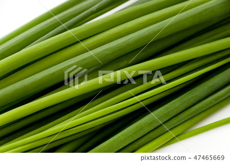 Green onions, universal green onions Green onions, universal green onions 47465669