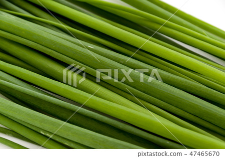 Green onions, universal green onions 47465670