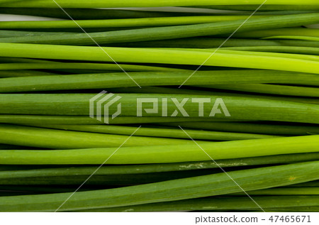 Green onions, universal green onions 47465671