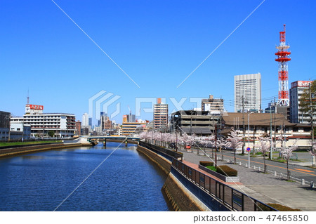 春天名古屋市都市風景 春天名古屋市都市風景 47465850