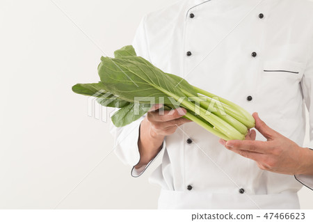 Komatsuna的廚師 Komatsuna的廚師 47466623
