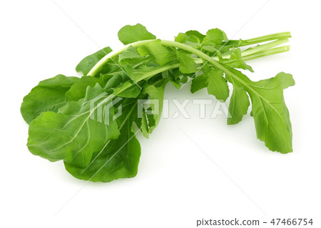 Bunch of fresh rucola on white background 47466754