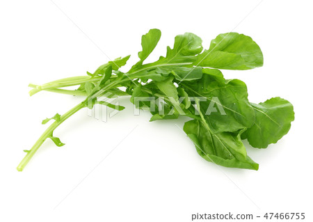 Bunch of fresh rucola on white background 47466755