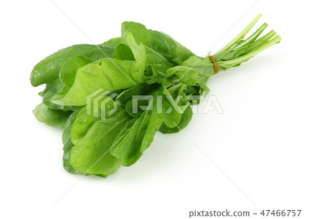 Bunch of fresh rucola on white background 47466757