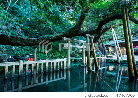 Kashima Jingu Mitarai pond Mitarashike (Ibaraki prefecture Kashima city) As of January 2019 47467360
