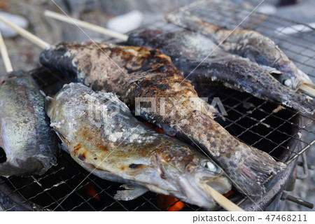 鹽烤鱒魚 鹽烤鱒魚 47468211