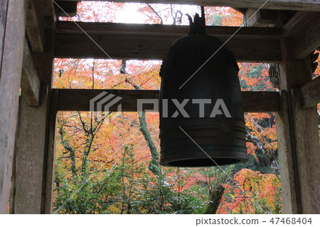 Bell Bell · · · · · · · · · · · · · · · · · · · · · · 47468404